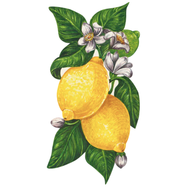 Lemon Table Accent - Set Of 12