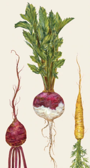 Farmers' Market Guest Napkin - Pack Of 16