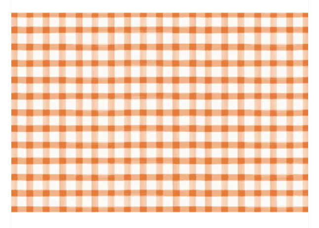 Orange Painted Check Placemat - 24 Sheets