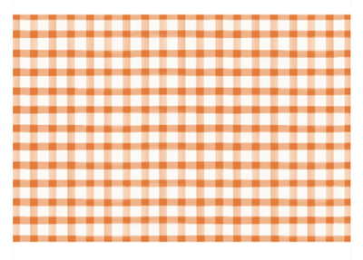 Orange Painted Check Placemat - 24 Sheets