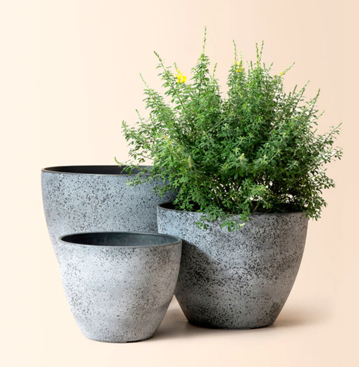 Cement Pots Grey
