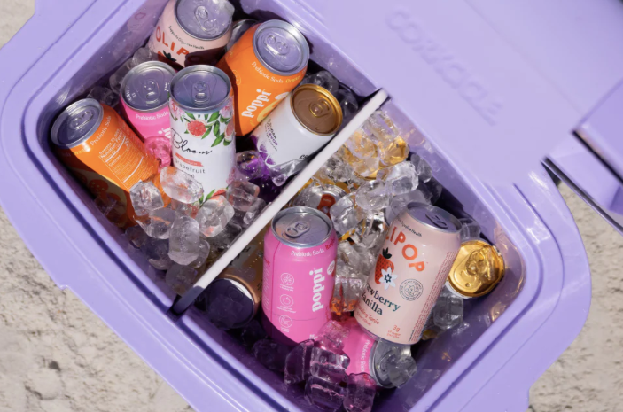 Chillpod Go - 13qt Gloss Lilac