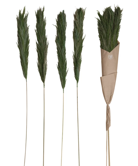 Dried Natural Velvet Grass Bunch Set of 4
