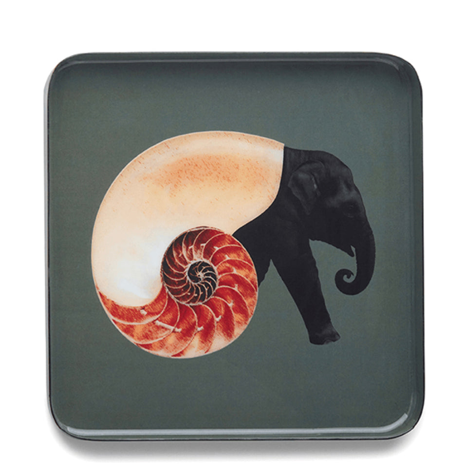 Shellephant trinket tray