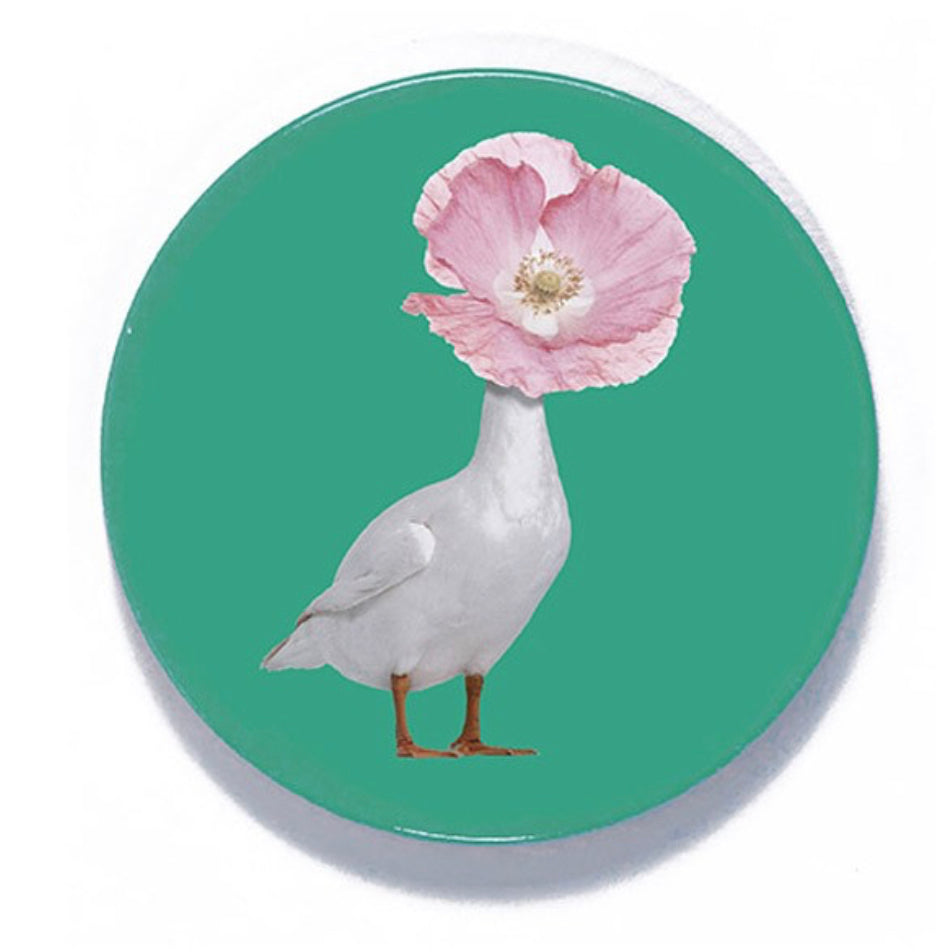 Diva set of 4 ceramic coasters