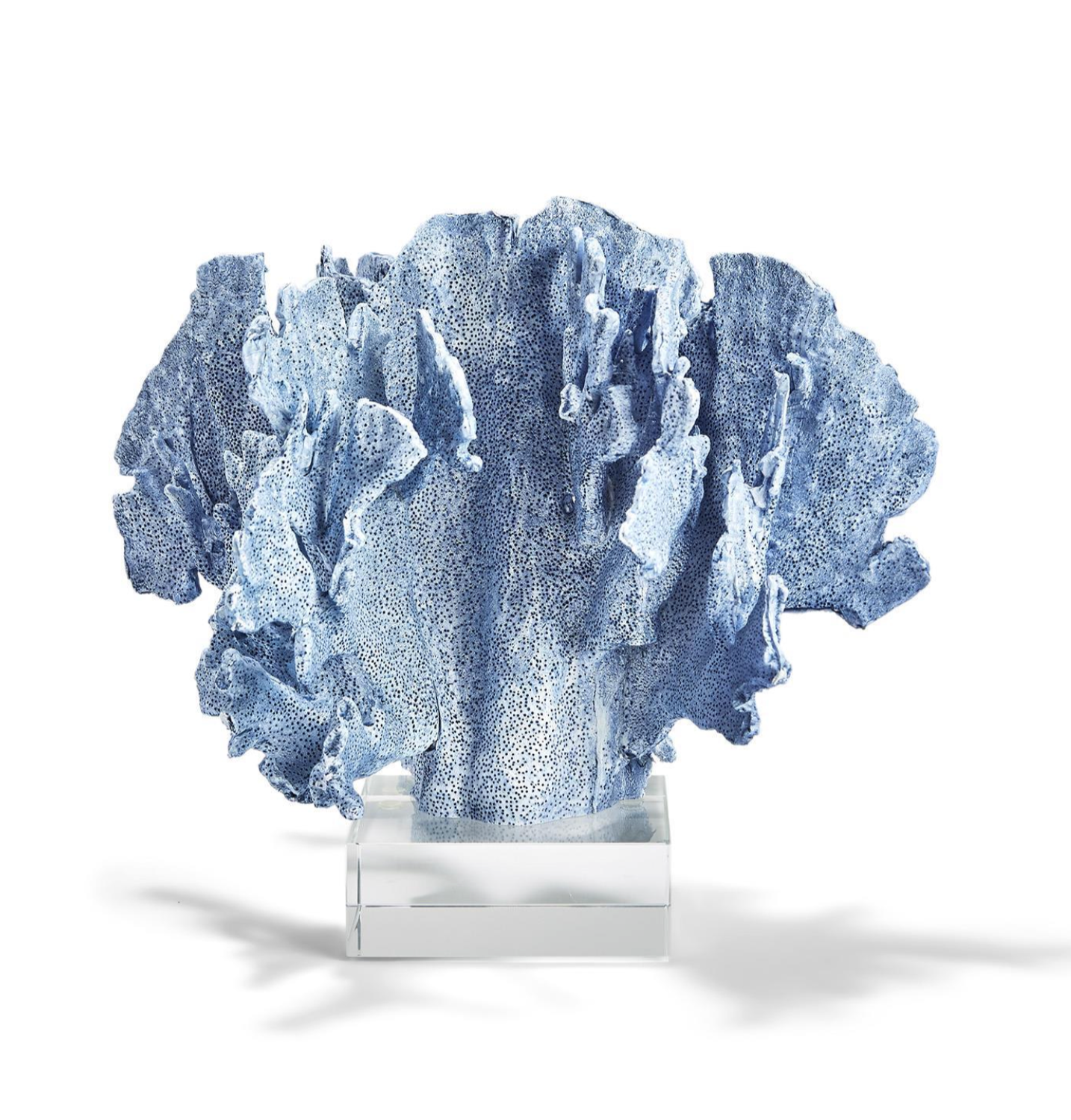 Blue Coral Sculpture on Glass Base