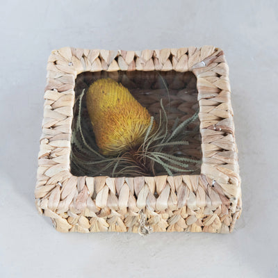 Hand Woven Display Box with Lid