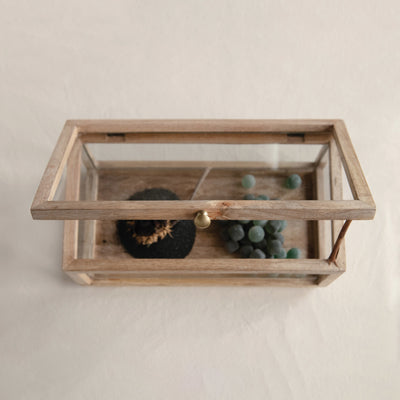 Mango Wood & Glass Display Box with Lid