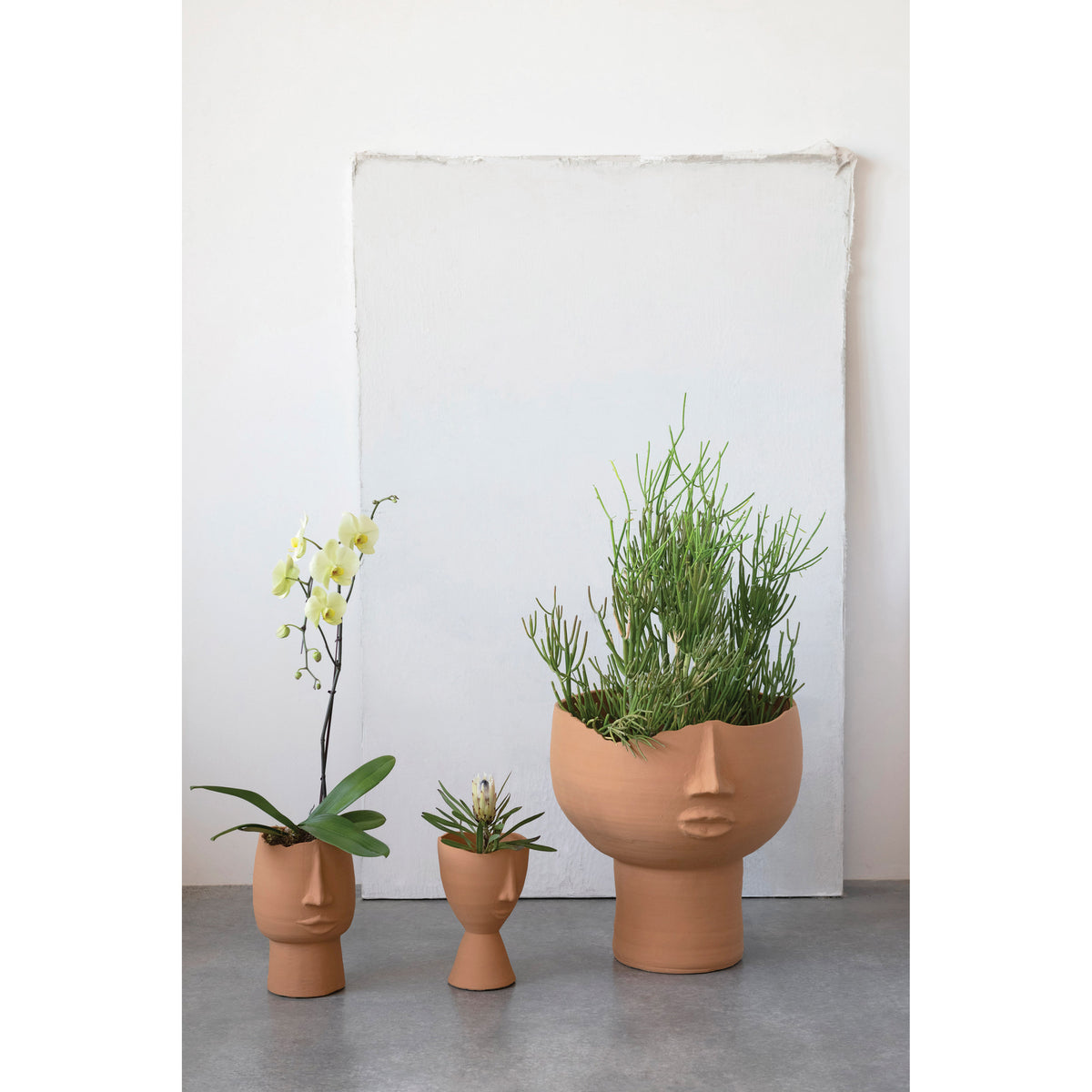 Terra-cotta Planter with Face