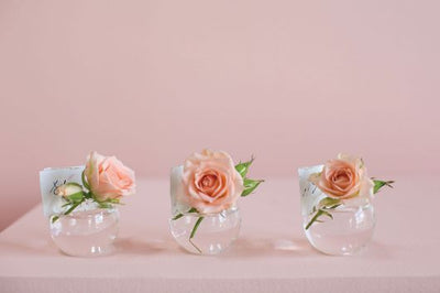 Blossom Budvase