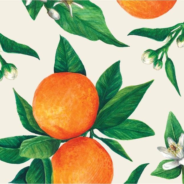 Orange Orchad Cocktail Napkin