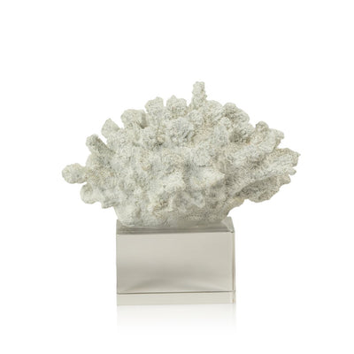 White Coral On Acrylic Base
